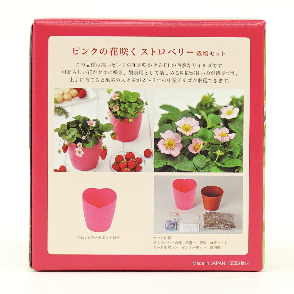 Amazon.co.jp: 聖新陶芸 ピンクの花咲く ストロベリー栽培キット: DIY