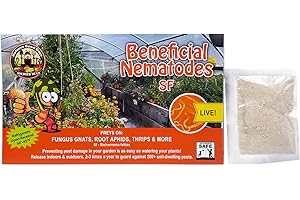 Nematicide: The Nematode Slayer