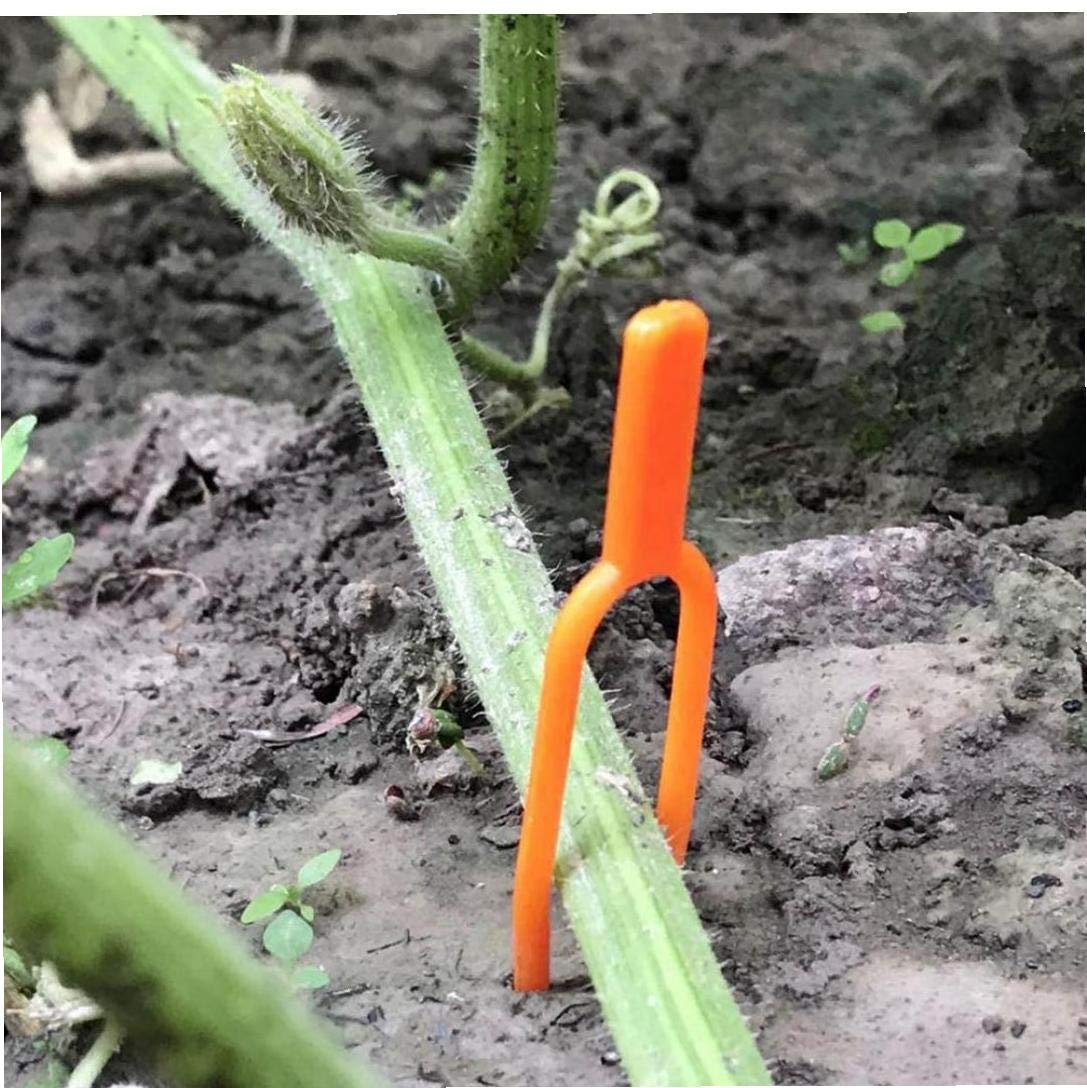 Wootong Orange 100Pcs Plants Support Clips Stalk Fixed Clampes Strawberry Vegetables Vine Flower Locks Garden Supplies