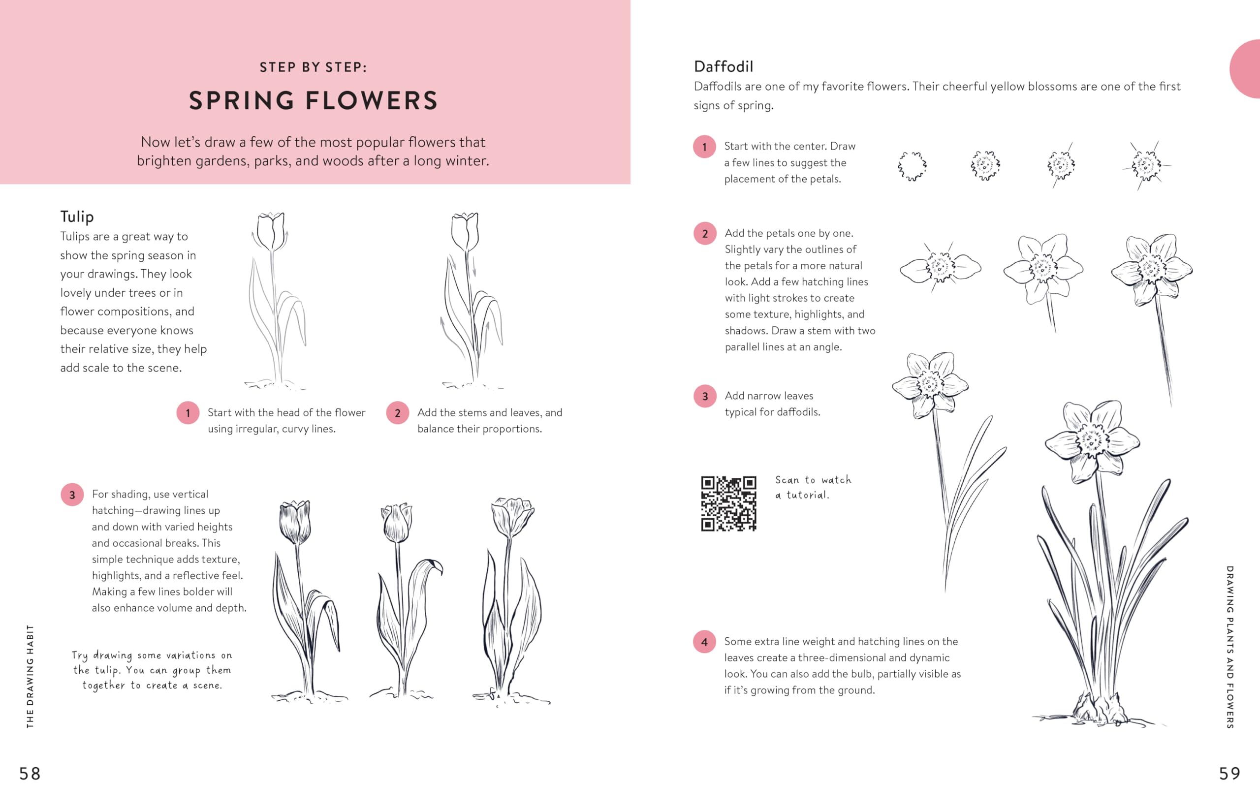 The Drawing Habit: A Step-by-Step Guide to Improving Your Drawing Skills and Cultivating a Lifelong Practice of Creativity - Includes Downloadable Practice Sheets!