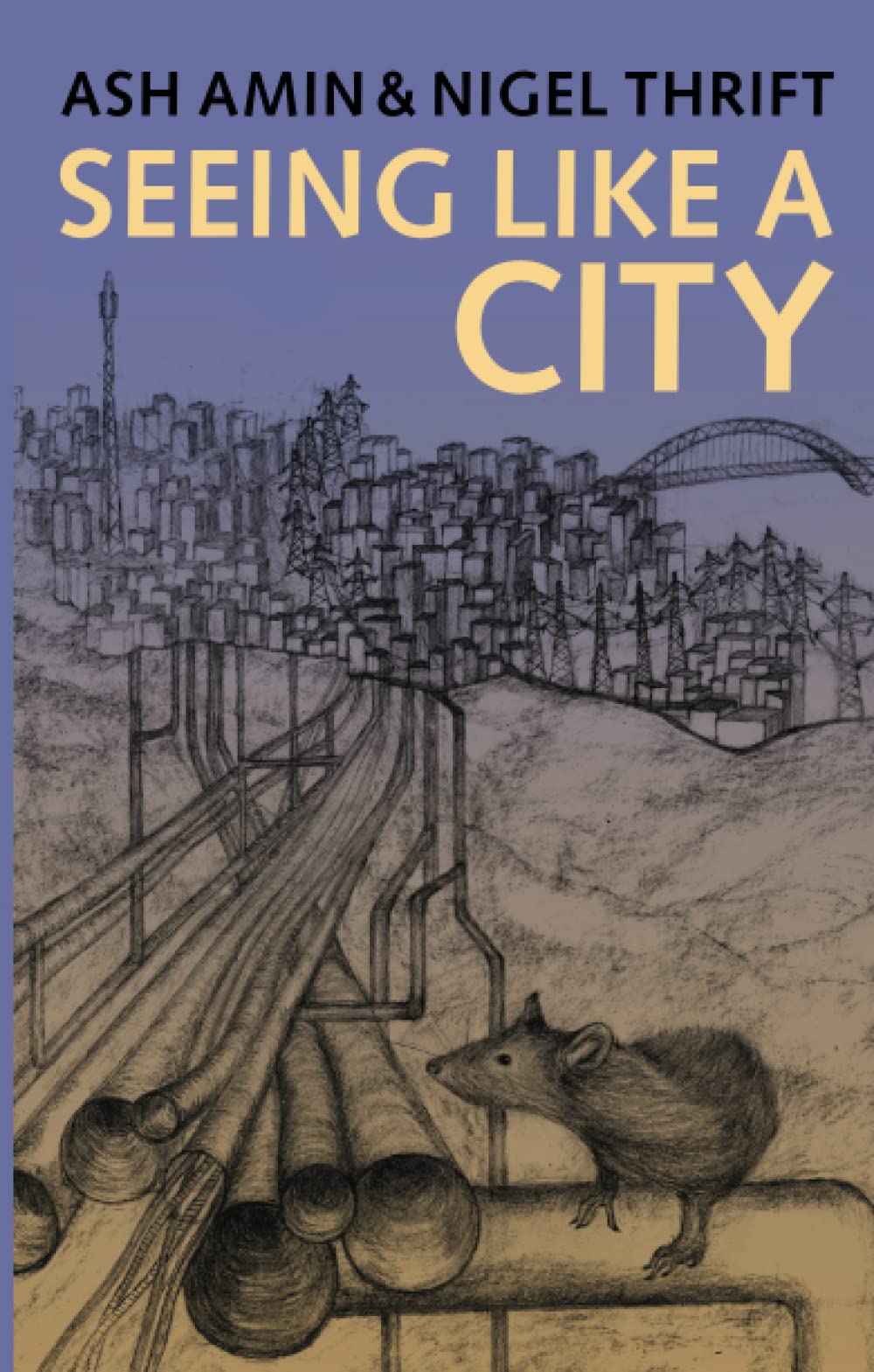 Seeing Like a City