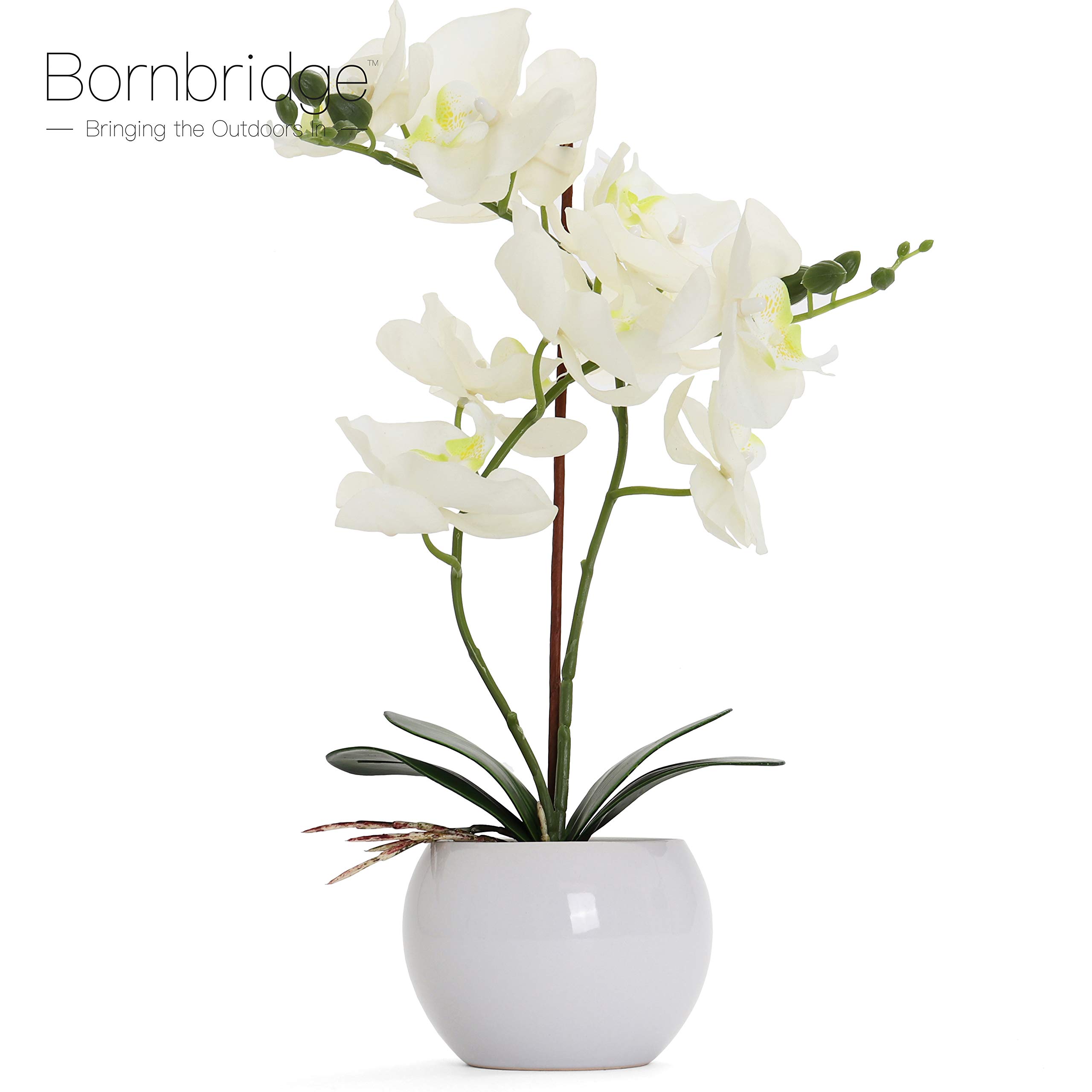 Artificial Orchid - Fake Orchid Plant with Real Touch Flowers - Faux Orchid with Long Stem Artificial Flowers - Potted Orchid / Plastic Orchid Fake Flowers (Single, White - Large)