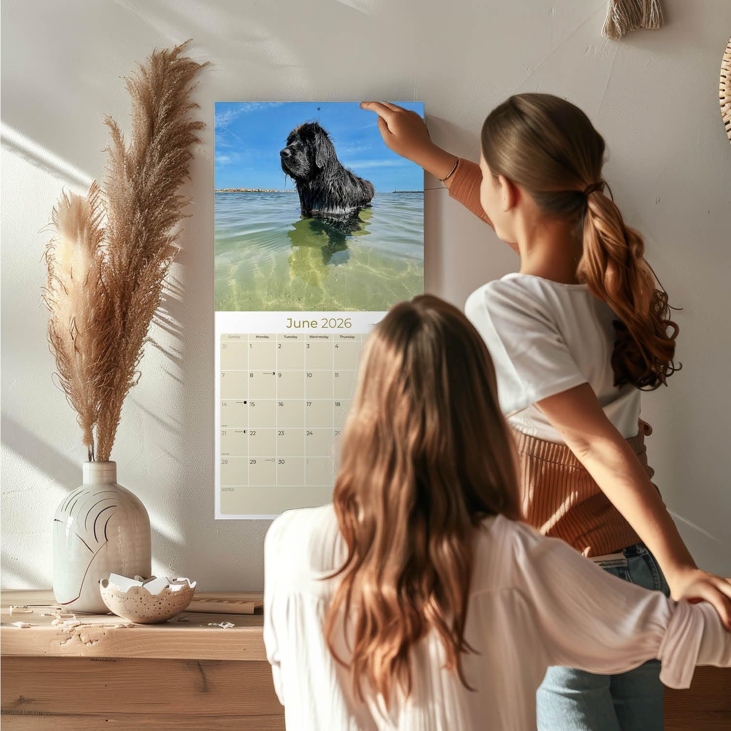 Newfoundland Calendar 2026 – 16-Month Dog Breed Wall Calendar by MegaCalendars – Large Daily Blocks, Thick No-Bleed Paper, Made in USA - Image 2