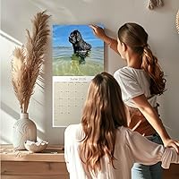 Vista 1020 de Razas de Perros 2017