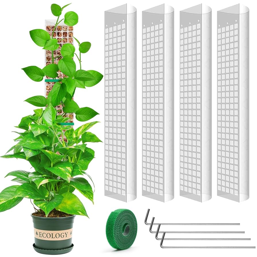 Amazon.com : YSKS 4 Pcs 24-inch Plastic Moss Poles for