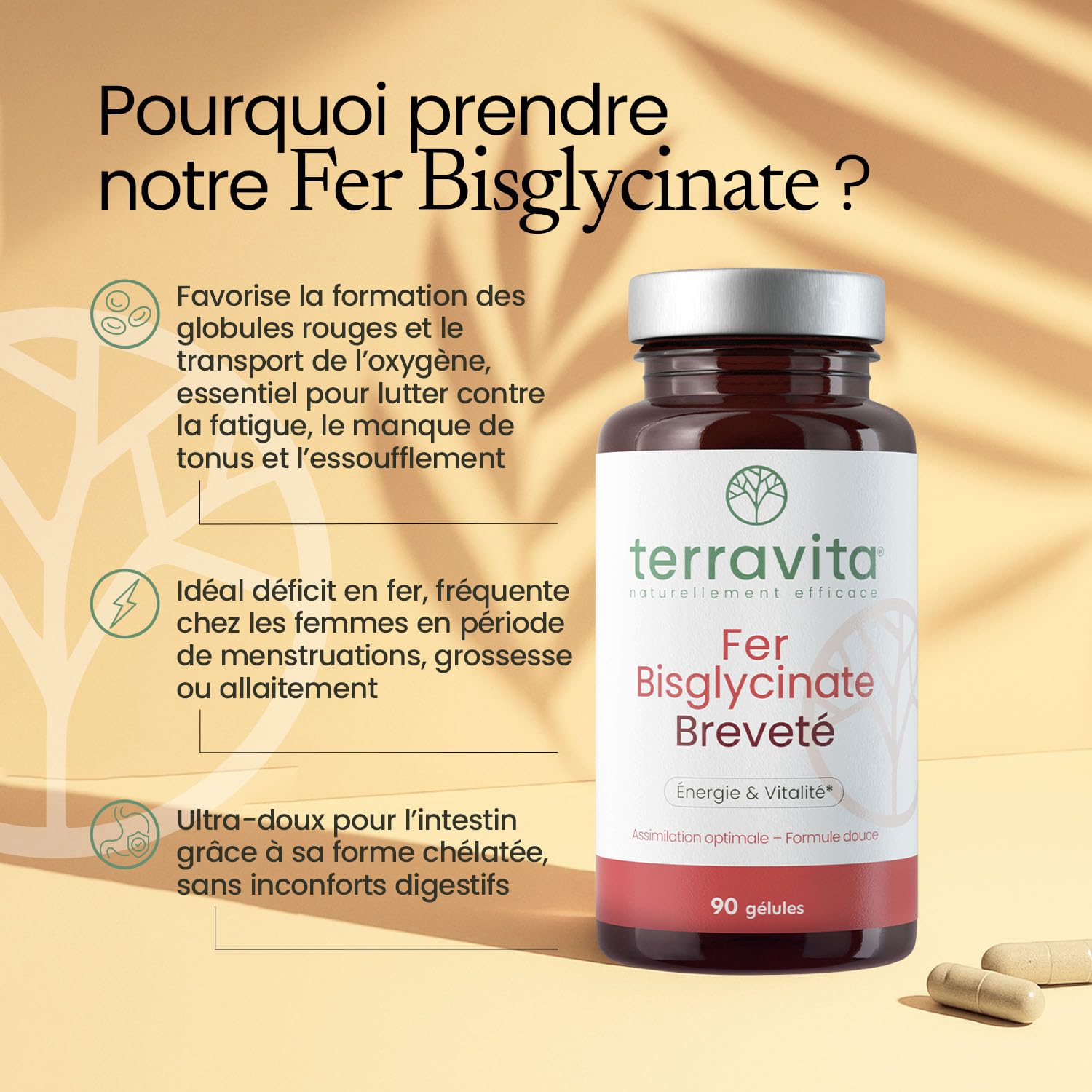 FER Bisglycinate Pur 14 mg | Complément Alimentaire Anti-Fatigue | Fer Breveté Ferrochel® Haute Absorption | Cure de 3 Mois sans Troubles Digestifs | 90 Gélules Végétales | Made in France | Terravita