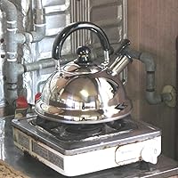 Vista 7 de Quickone Takei Fuefuki - Hervidor de silbato de ahorro de energía, 2,5 L, color plateado