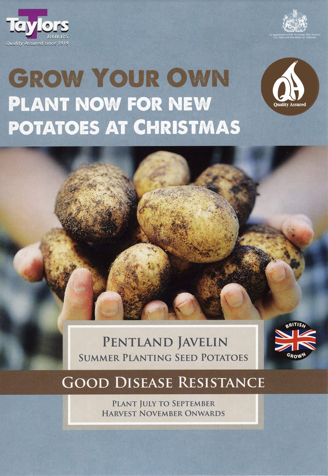 Taylors Seed Potatoes Pentland Javelin 10 Tubers