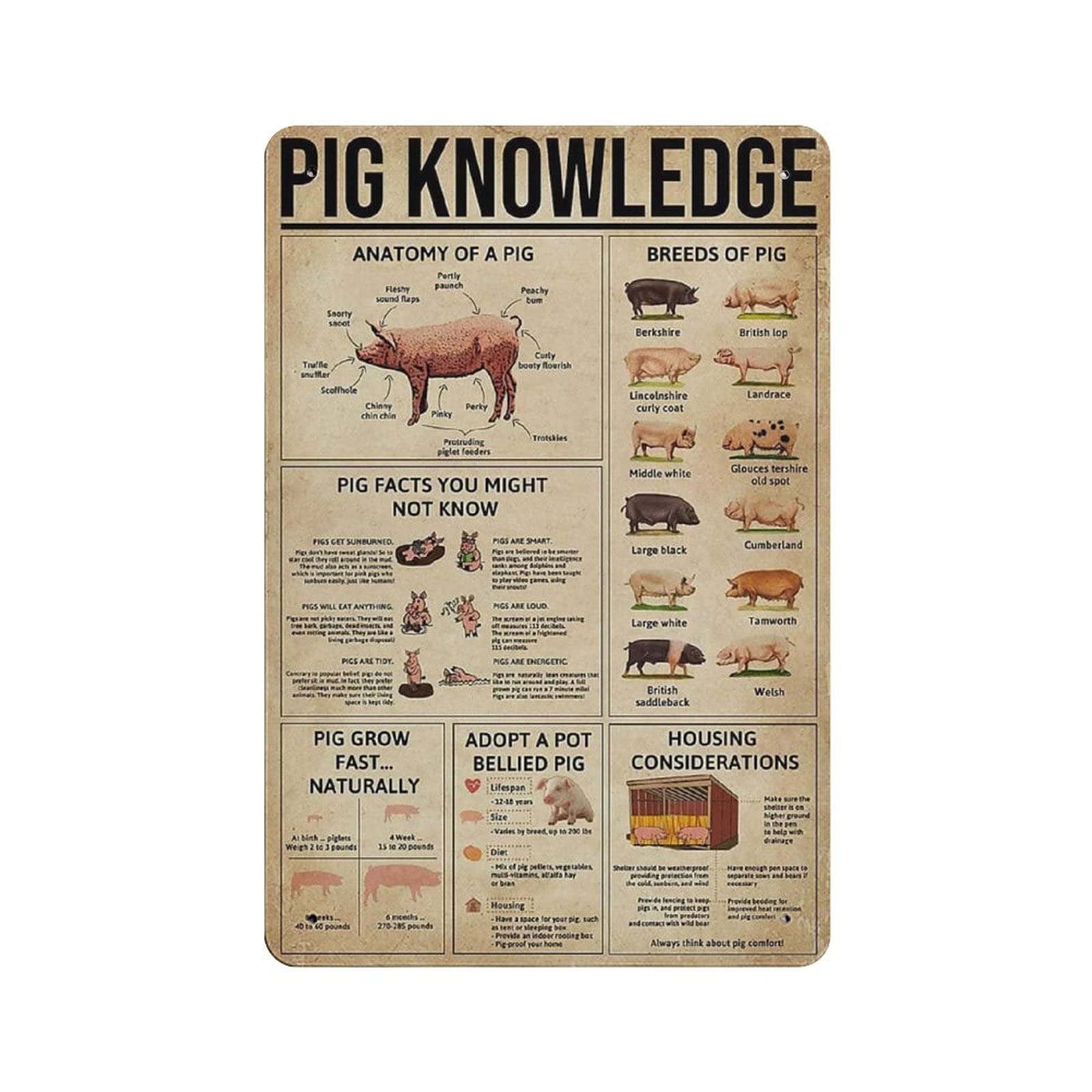 Metal Tin Sign Pig Knowledge Vintage Tin Poster Metal Sign Wall Decoration Country Kitchen Home Garage Decor 12"x8"