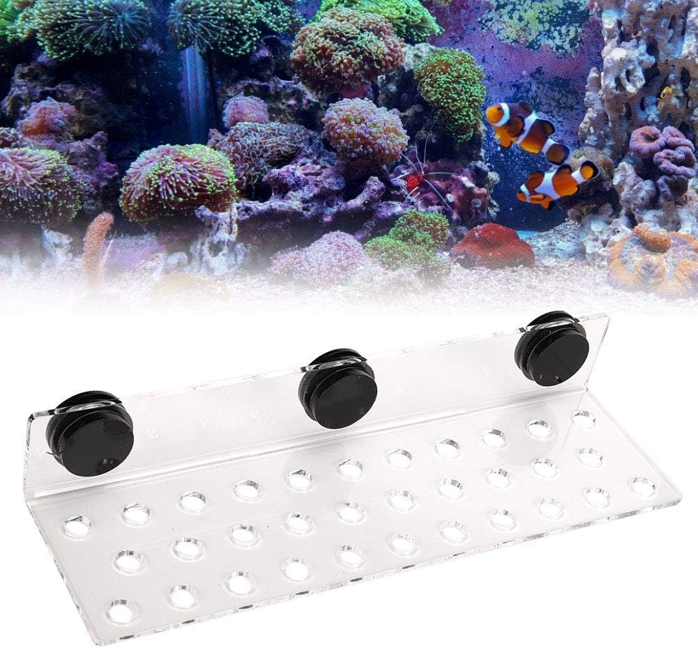 Zerodis Fish Tank Acrylic Coral Bracket Base, Aquarium Coral Rack Bracket Transparent Bracket Holder Frag Plugs Rack Suction Cup(32Holes)