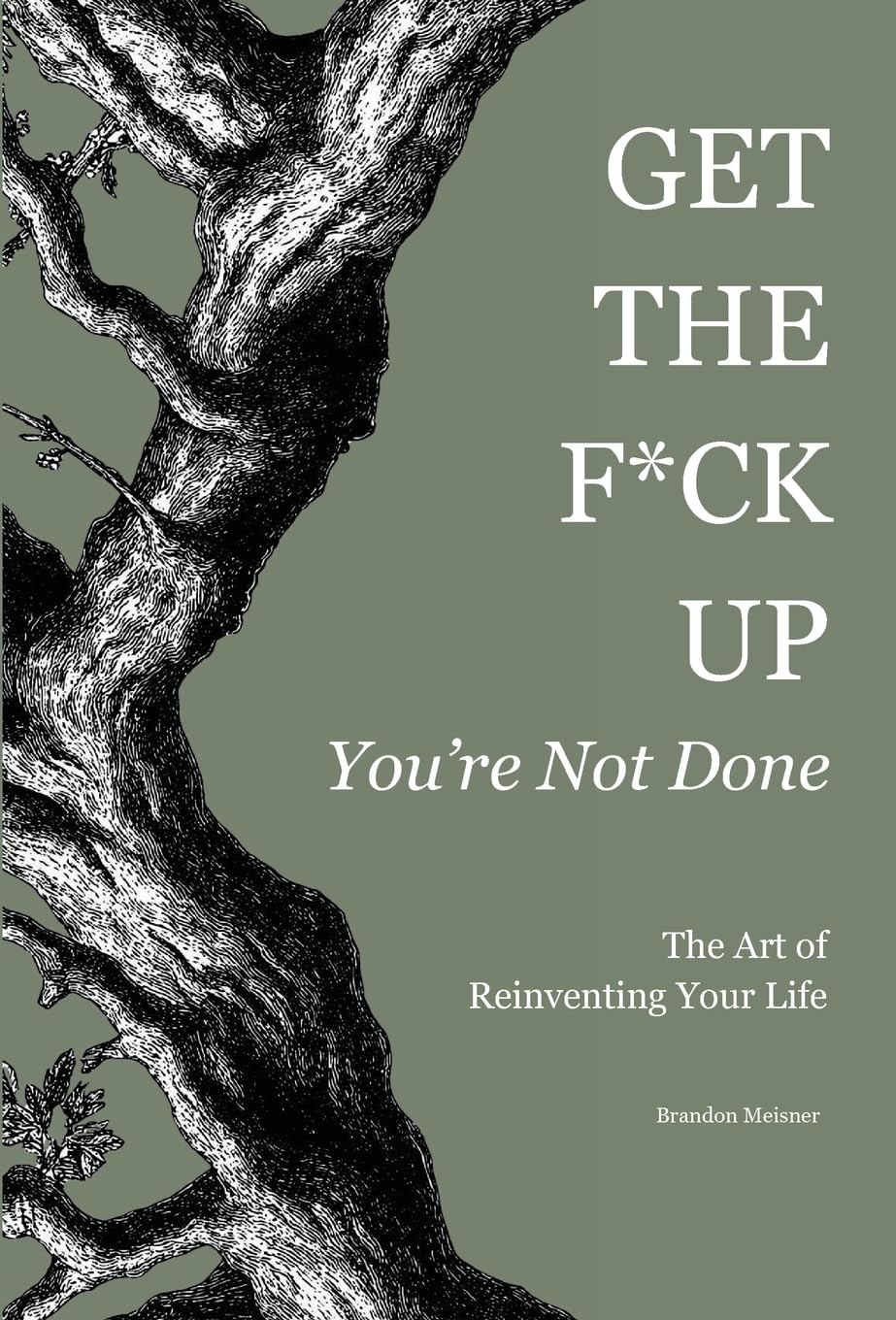 Get the F*ck Up - You're Not Done: The Art of Reinventing Your Life