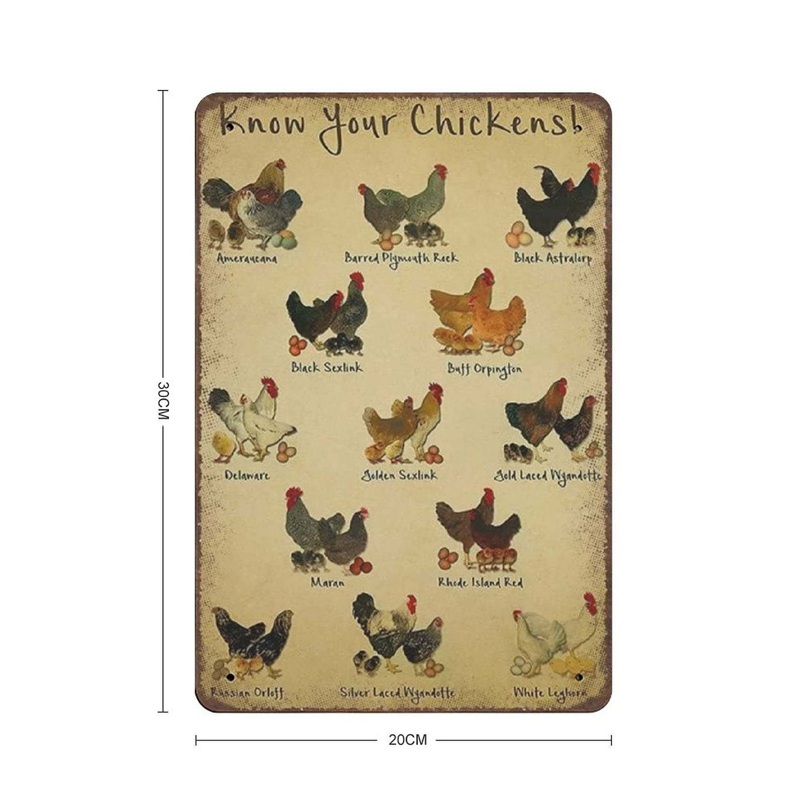 XVBCDFG Chicken Care Knowledge - Targa in metallo con scritta in lingua inglese Parts Of The Chick, poster in metallo per bar, soggiorno, cucina, decorazione artistica da parete