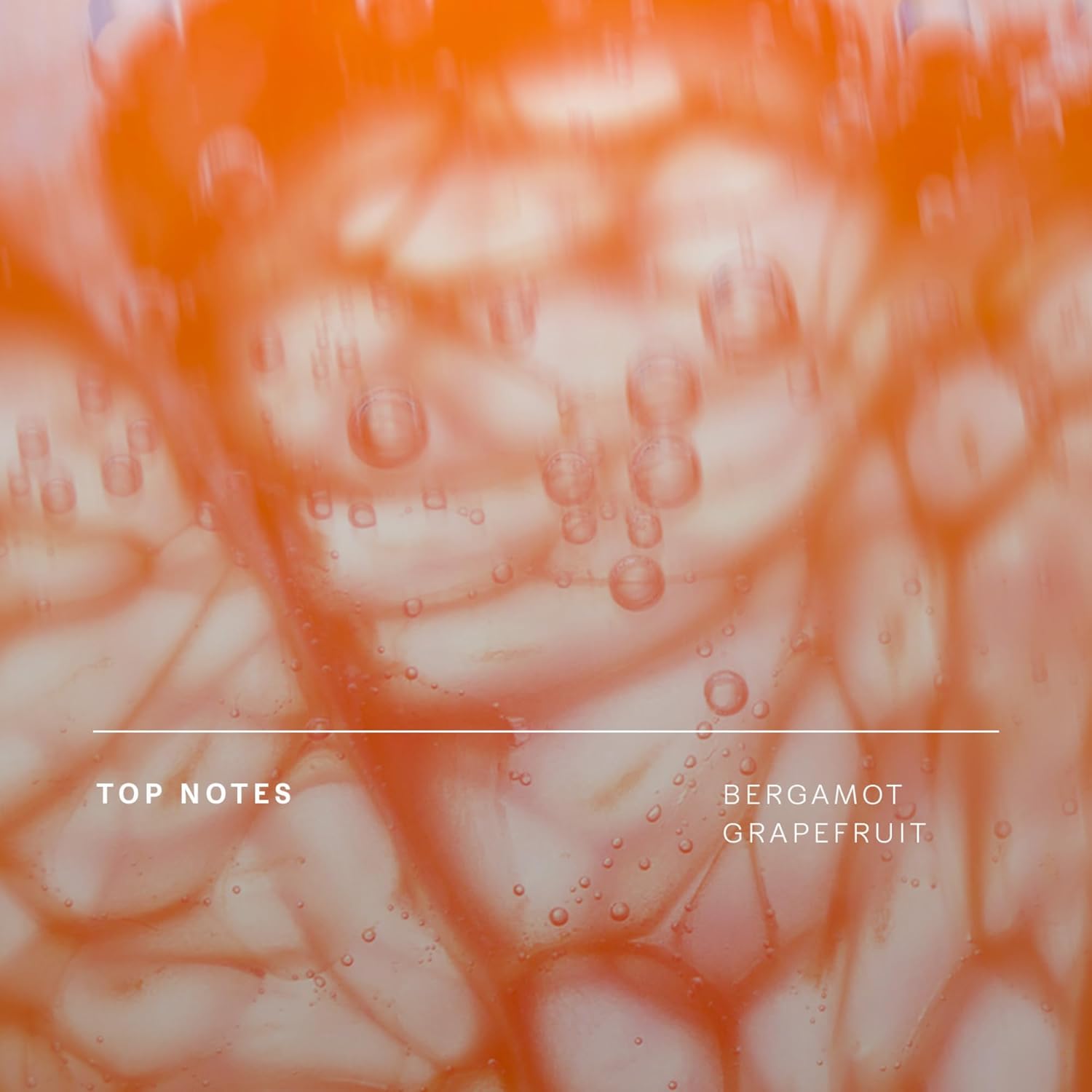 Future Society Reclaimed Flame Perfume - Rich Citrus Eau de Parfum with Notes of Bergamot, Grapefruit & Eucalyptus - Luxury Perfume Inspired by Africa's Wildflower - Modern Unisex Fragrance - 9.5ml - Image 4