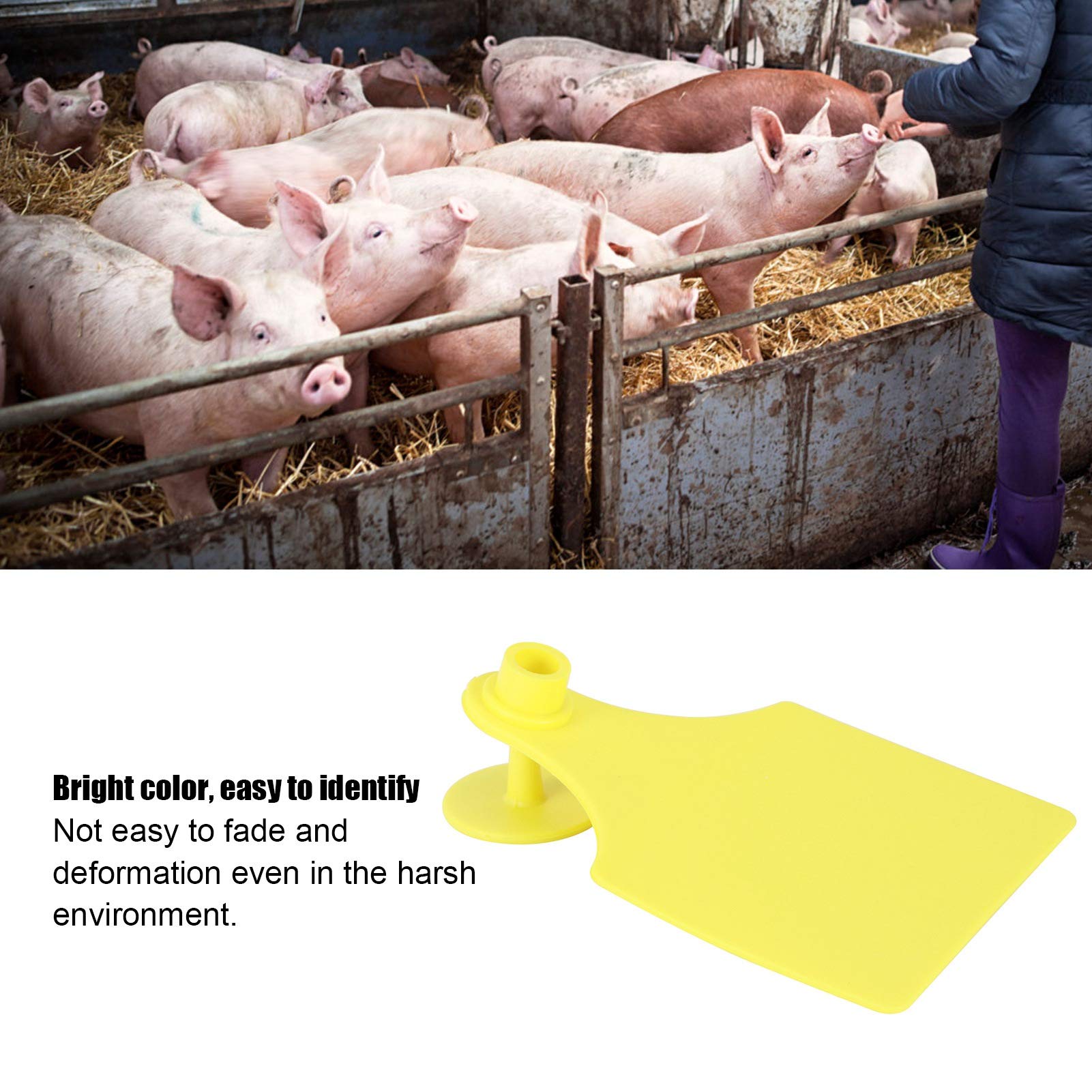 Livestock Ear Tags, 20 Set Animal Identification Blank Ear Tags Yellow Cattle Ear Tags Farm Animal Tags Plastic for Cow Cattle Sheep Goats Pigs (Large)