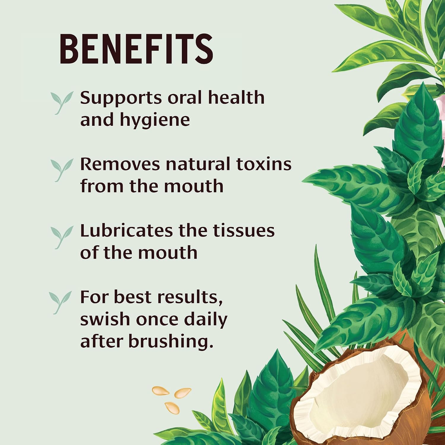 Banyan Botanicals Organic Mint Daily Swish – Ayurvedic Oil Pulling Mouthwash – Coconut & Sesame Oil with Triphala for Gum Health & Fresh Breath – Natural Oral Hygiene – 8 oz – USDA Organic