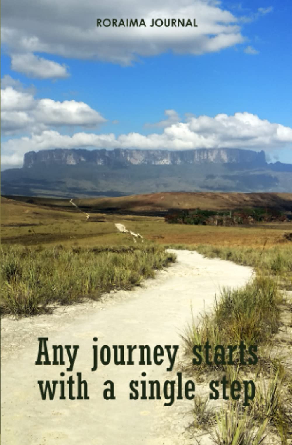 Jocelyn PaezRoraima Journal: Any journey starts with a single step
