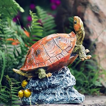 71RqtrfCGjL._AC_UF350,