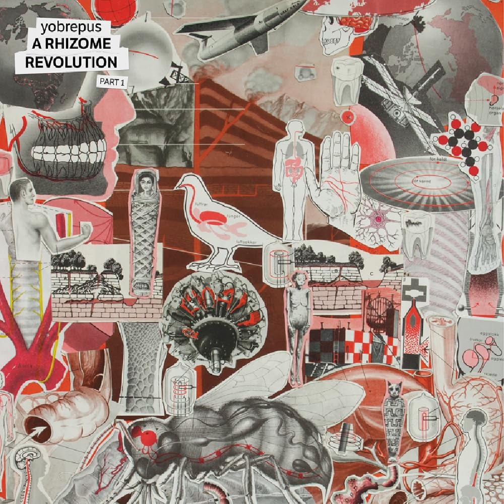 A Rhizome Revolution Part 1