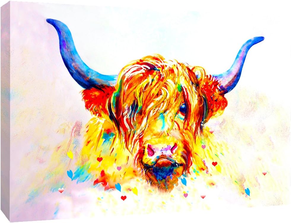 Coloured Highland Cow Box Canvas wall art print picture (20" x 20" (50cm x 50cm))