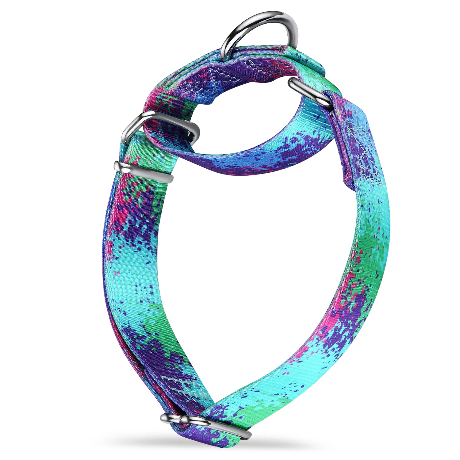 Martingale Dog Collars Colourful Oil Painting Pattern Series (Dazzber)