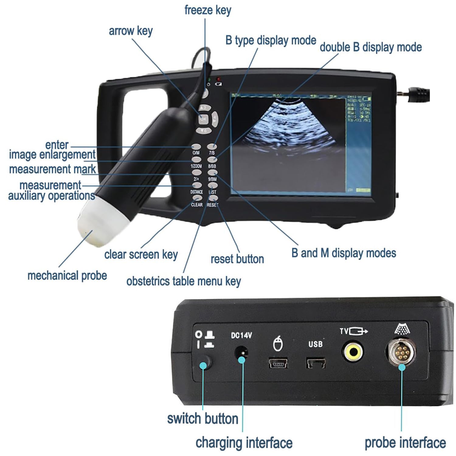 Analizzatore veterinario portatile a ultrasuoni da 5,6 pollici con display a LED palmare con sonda da 3,5 MHz per test di gravidanza in maiale, pecora, capra, cane, gatto, coniglio