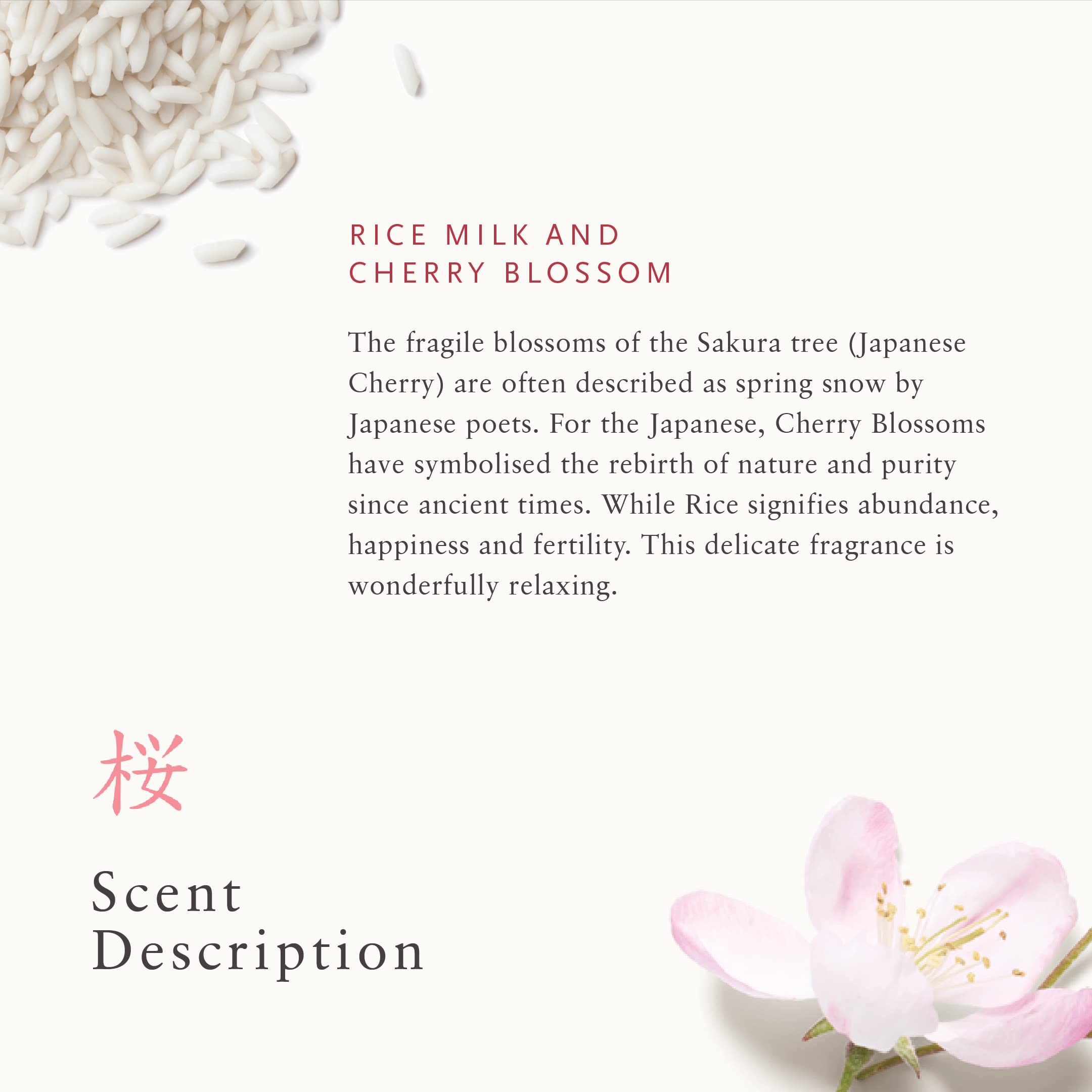 Amazon.co.jp: RITUALS サクラオイルリードディフューザーセット