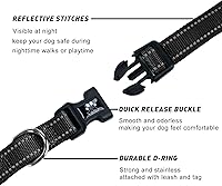 Vista 4 de FURRYFECTION Juego de collar y correa reflectante para perro con hebilla de liberación rápida, acolchado con neopreno, collar de nailon ajustable