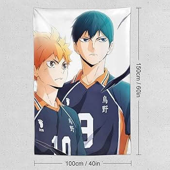 ハイキュー 日向翔陽 影山飛雄 aniart タペストリー 71irkz8sbvL._UF894,1000_QL80_.jpg
