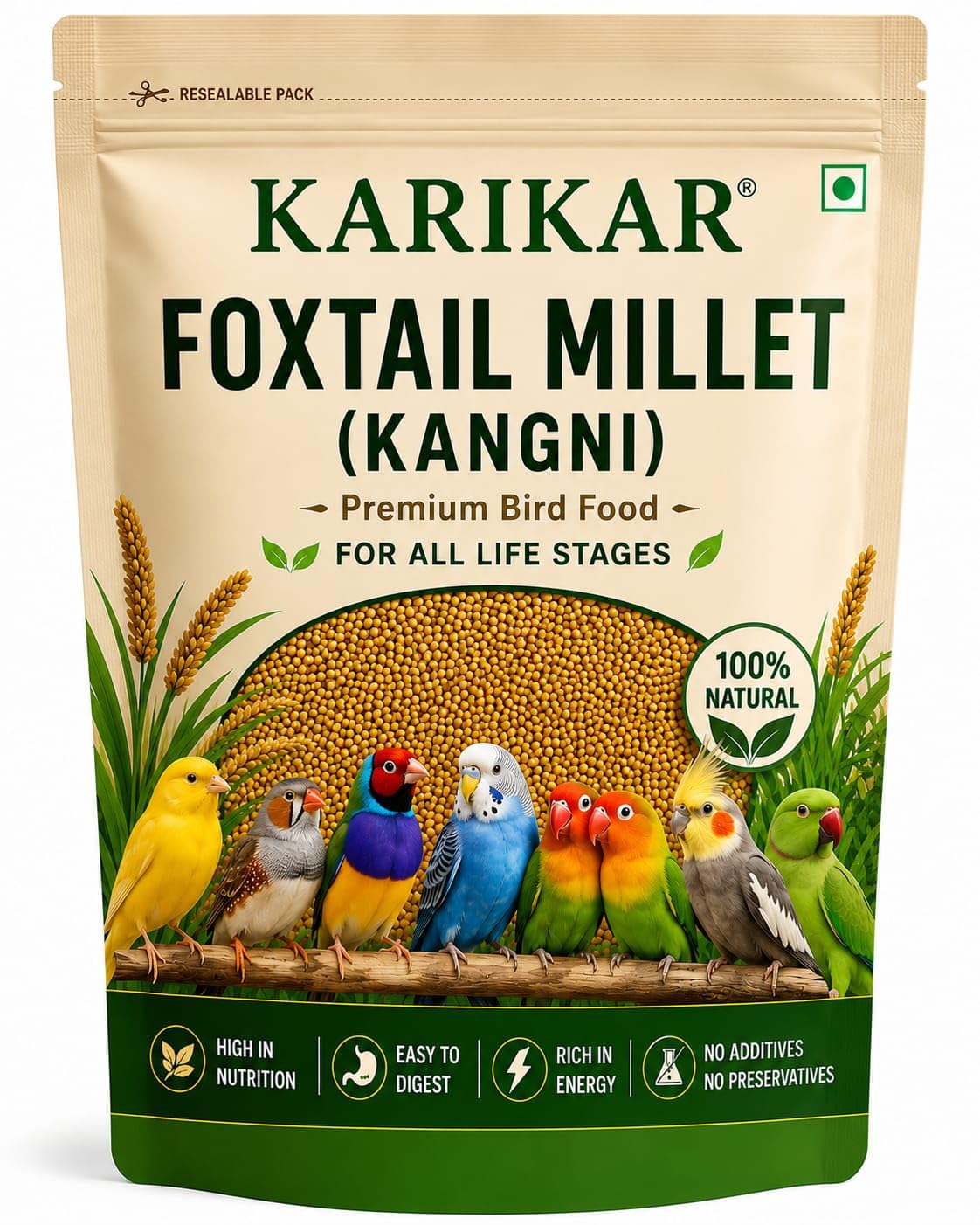 Foxtail Millet (Kangni) Premium Bird Food, 100% Natural, for Canary, Finches, Budgies, Lovebirds, Cockatiels & Parrots (100 g)-image-14