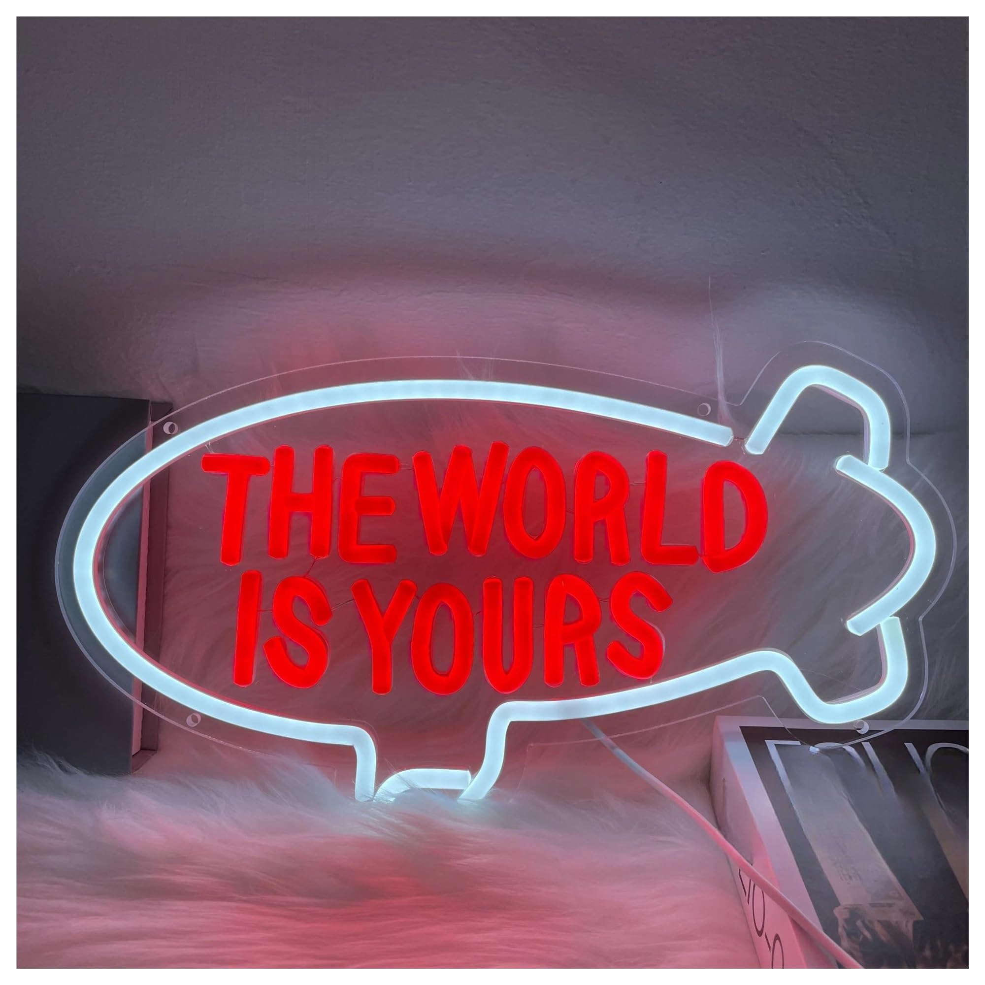 SHOUXI Sign Lamp The World is Yours Neon Sign USB Dimmer for Girls Kids Bedroom Bar Beer Club Shop Wall Art Hanging Decor 42cmх23cm(A)