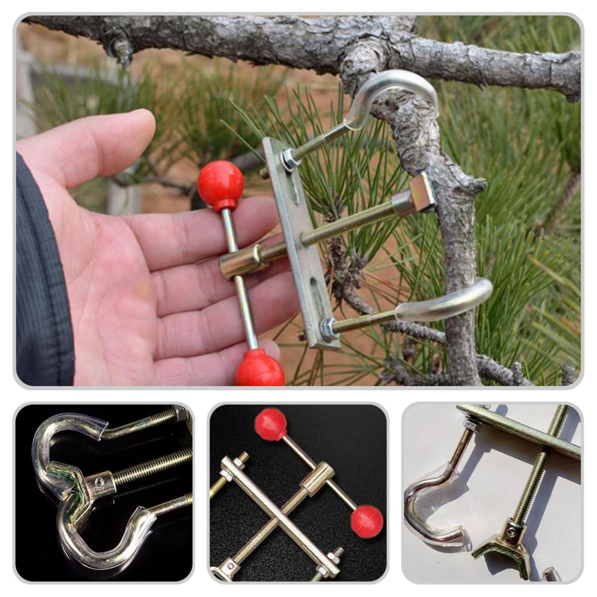 BESPORTBLE 3pièces Outil De Bending De Branches pour Bonsai Outil De Jardinage Professionnel pour Ajustement Et Modulation des Branches Matériau avec Bouton Sphérique pour Éviter Les