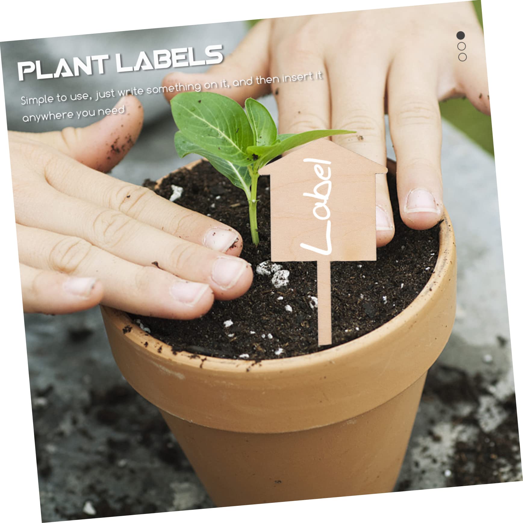 Yardwe 3 Sets Pflanzenetiketten Aus Holz Blanke Namensschilder 100 Stück Gartenpfähle Für Die Bepflanzung Im Innen- Und Außenbereich 50 Stück * 3