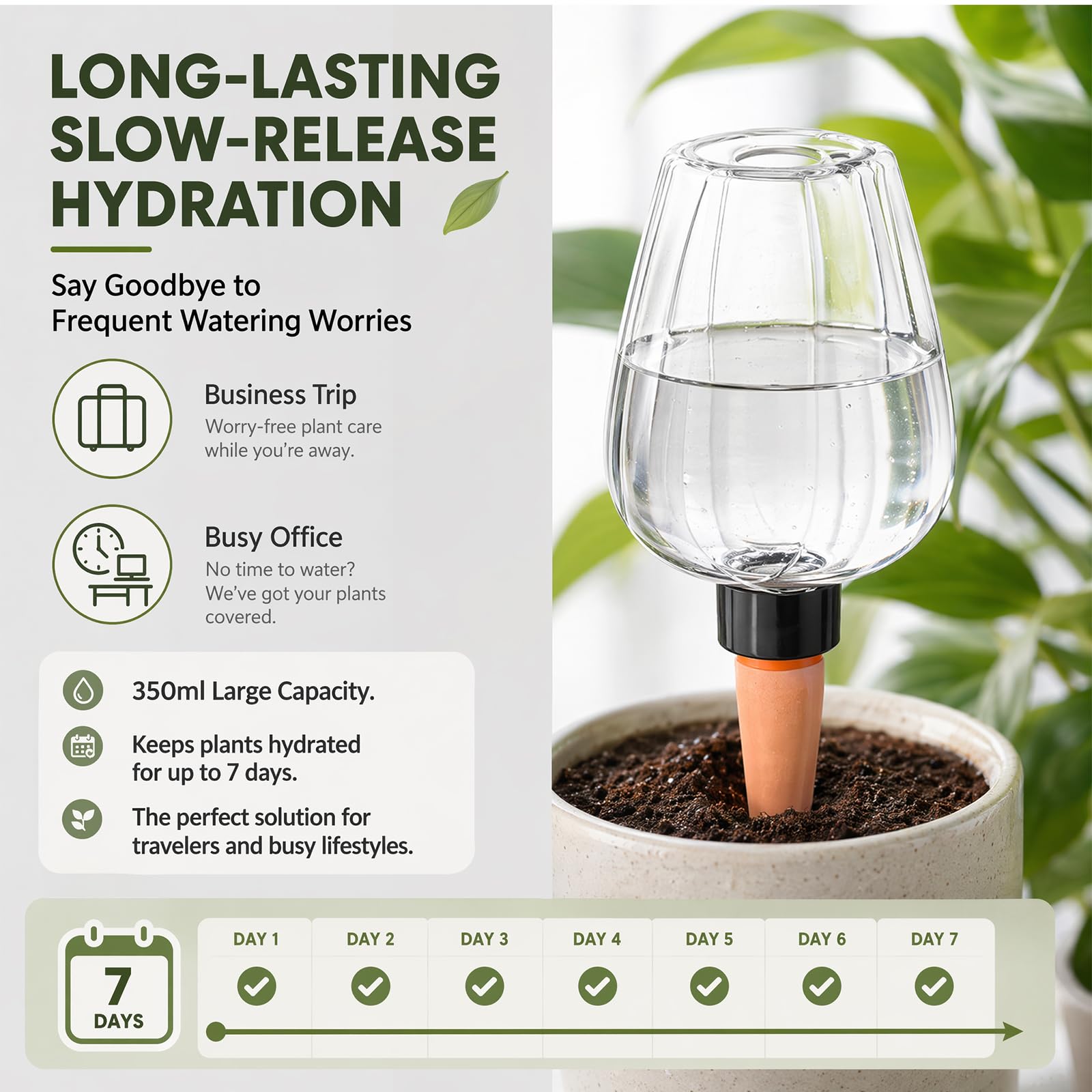 Bewässerungskugeln, 6 Stück Pflanzen Bewässerung, 350ML Selbstbewässerung Bewässerungskugel, Automatische Transparente Pflanzenbewässerung von Zimmer Gartenpflanzen und Balkon Anschluss