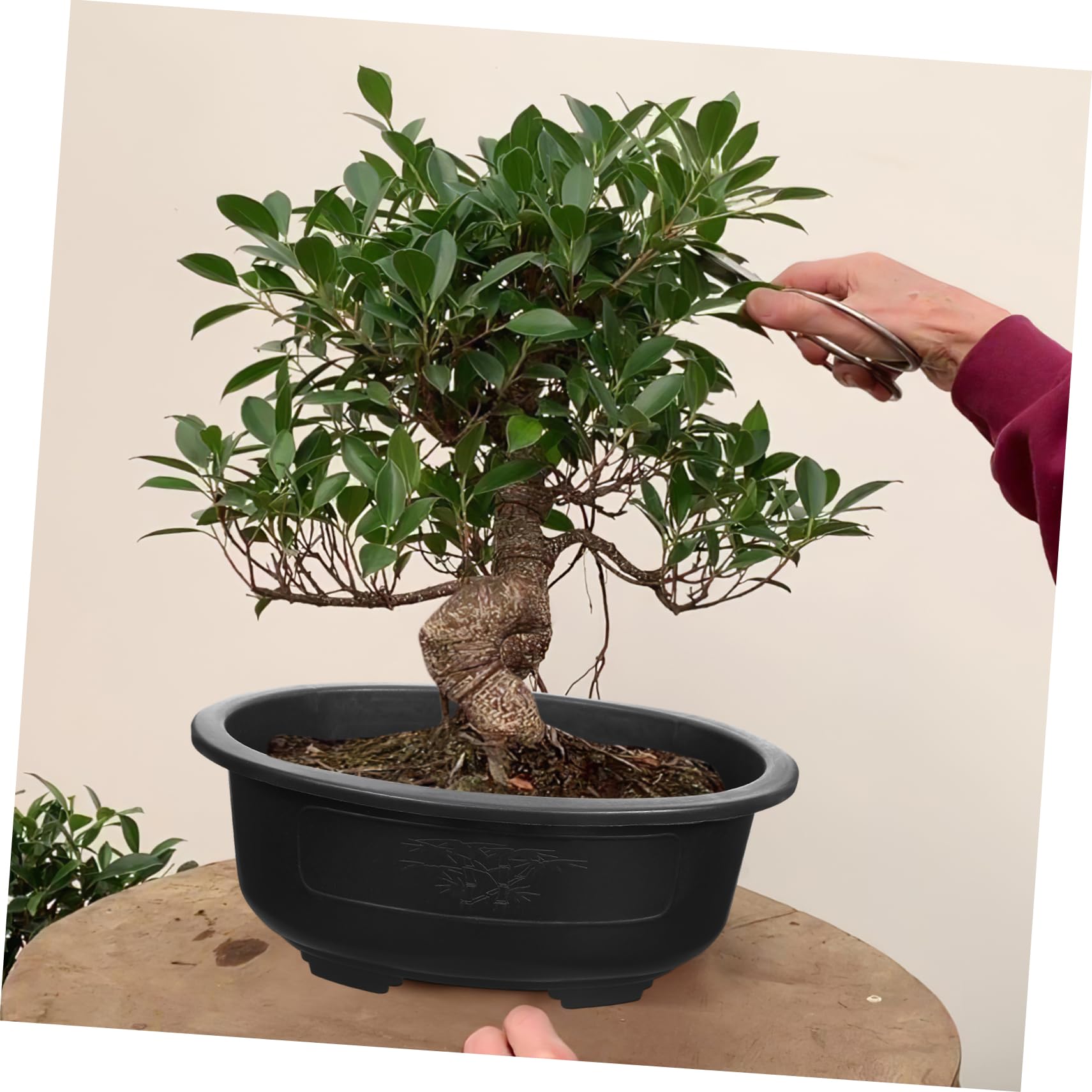 Operitacx 2 PièCes Grand Pot De Fleur Plastique avec Trou De Drainage pour Jardin Et Bonsaï JardinièRe ExtéRieure pour Plantes Succulentes Et DéCoration De Balcon