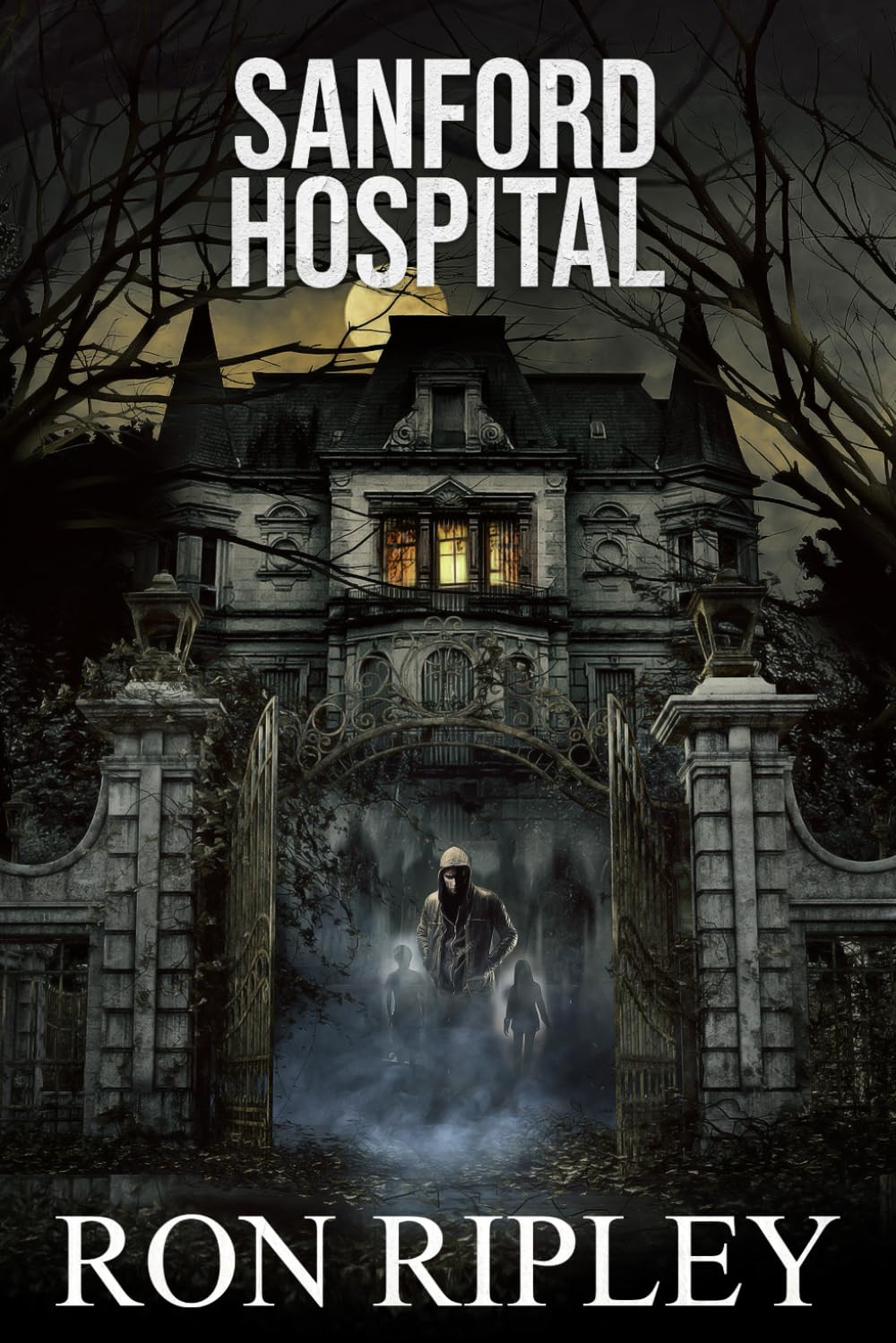 Sanford Hospital: Supernatural Horror with Scary Ghosts & Haunted Houses (Berkley Street Series)