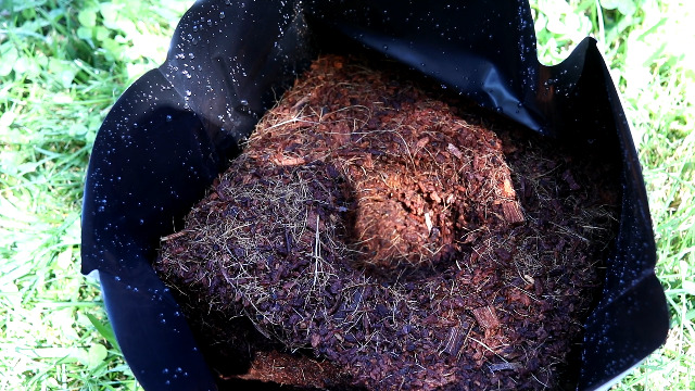 Amazon.com : DL Wholesale Root Royale Easy Load Coco Coir Plastic