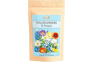 All Perennial Wildflower Seed Mix: Your Passport to a Vibrant Eco-Haven