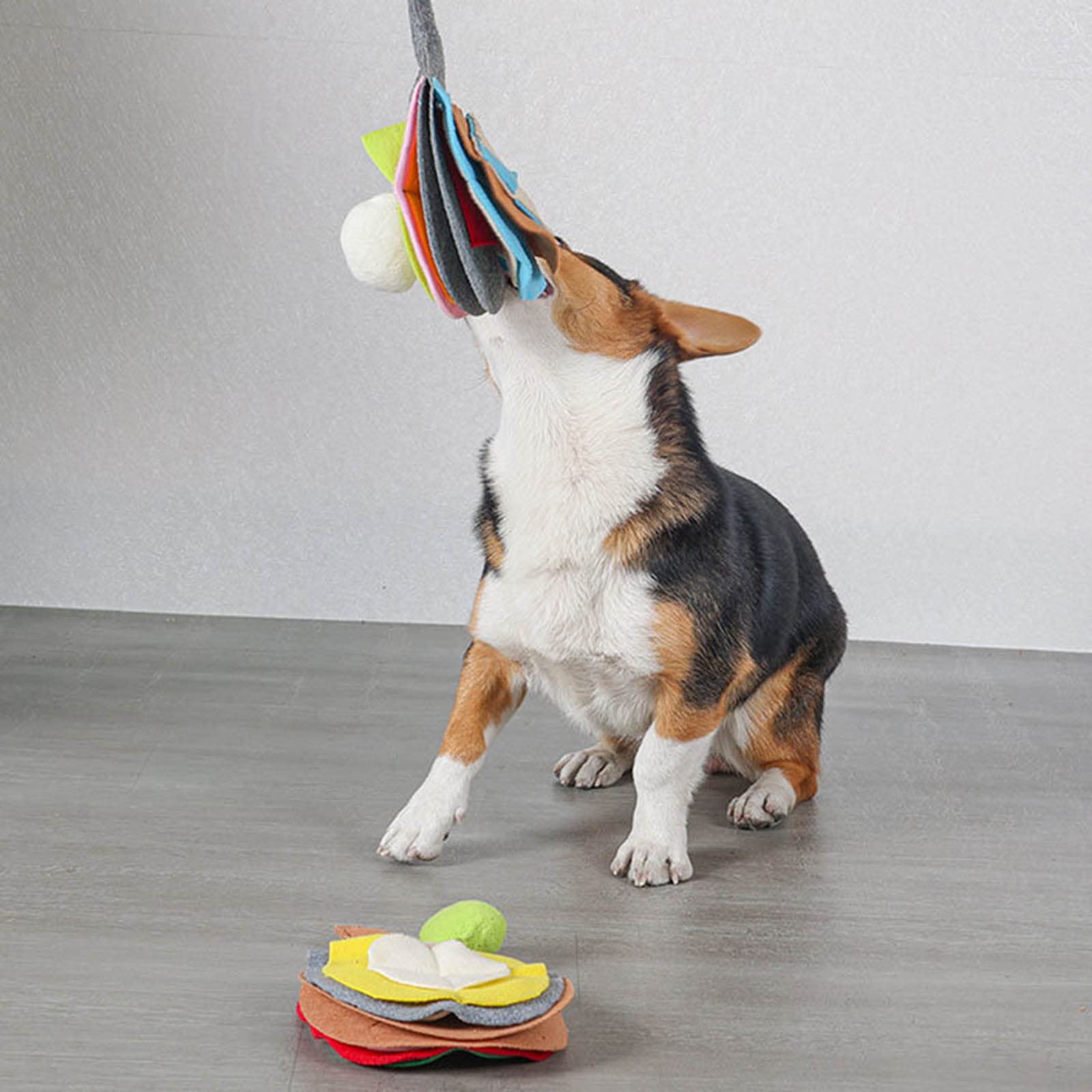 Deux Chiens En Peluche Jaunes En Forme De Balai, Des Jouets En Peluche Qui Couinent, Parfaits