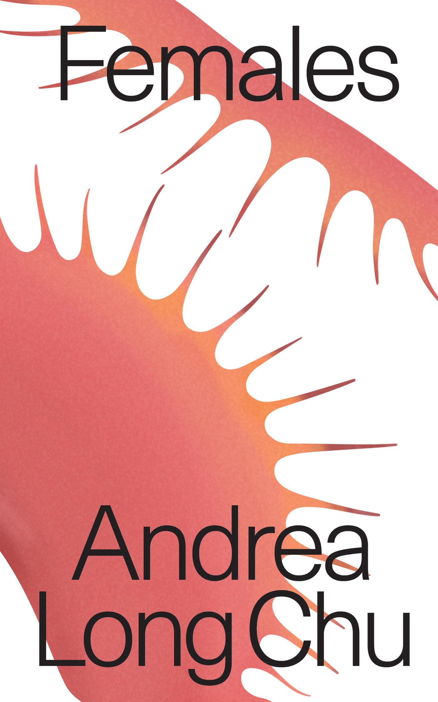 Females (Verso Pamphlets): A Concern - Andrea Long Chu