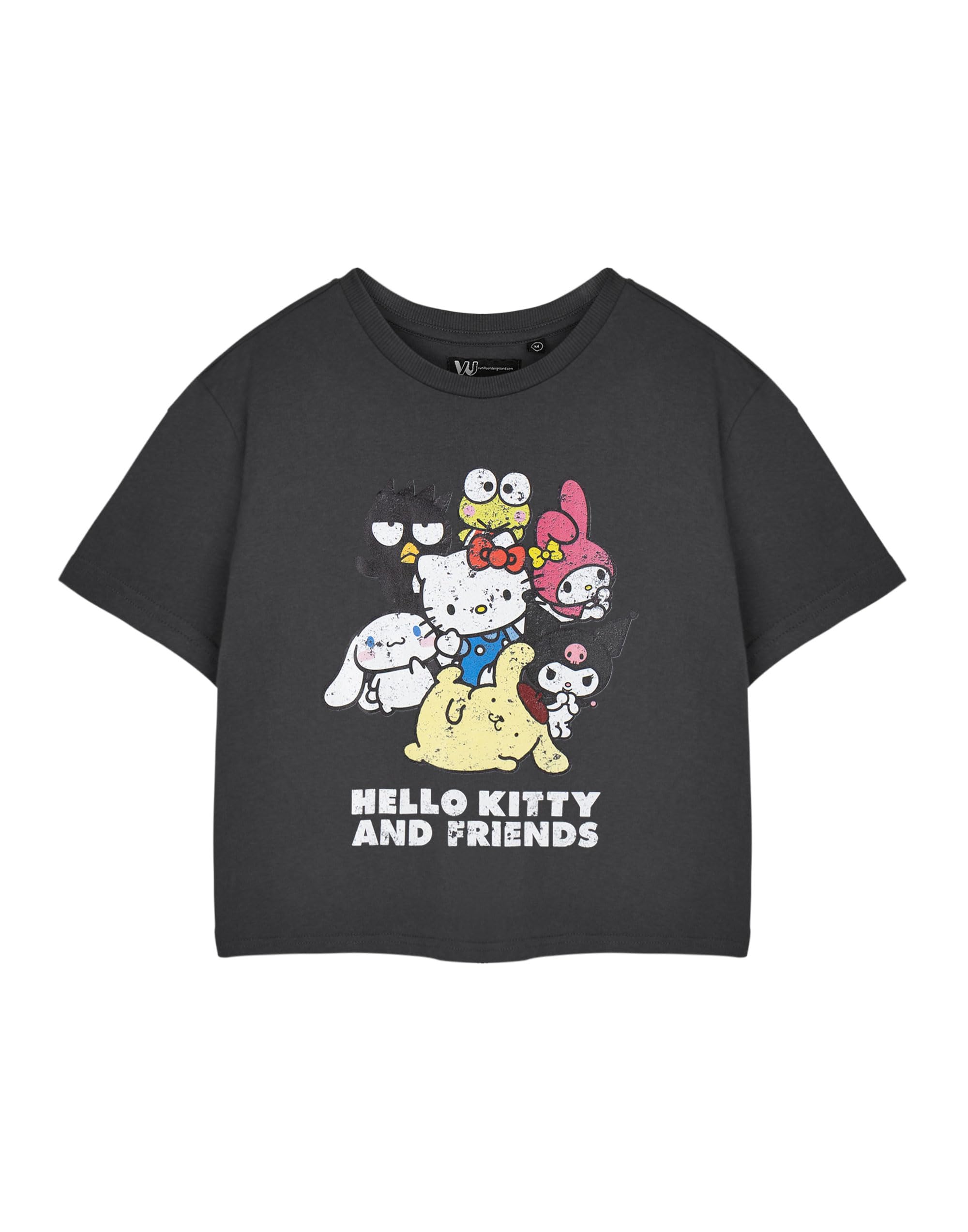 Hello Kitty (Large) Cropped Short Sleeved T-Shirt (Womens Grey)