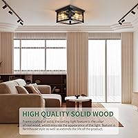 Vista 4 de JHLBYL Lámpara de techo de granja, 2 luces, rústica de montaje empotrado, lámpara industrial de granja cerca del techo, accesorios para pasillo