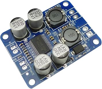 TPA3118 PBTL Mono Digital Amplifier Board Module 1 x 60W Power Amplifier DC 8-24V