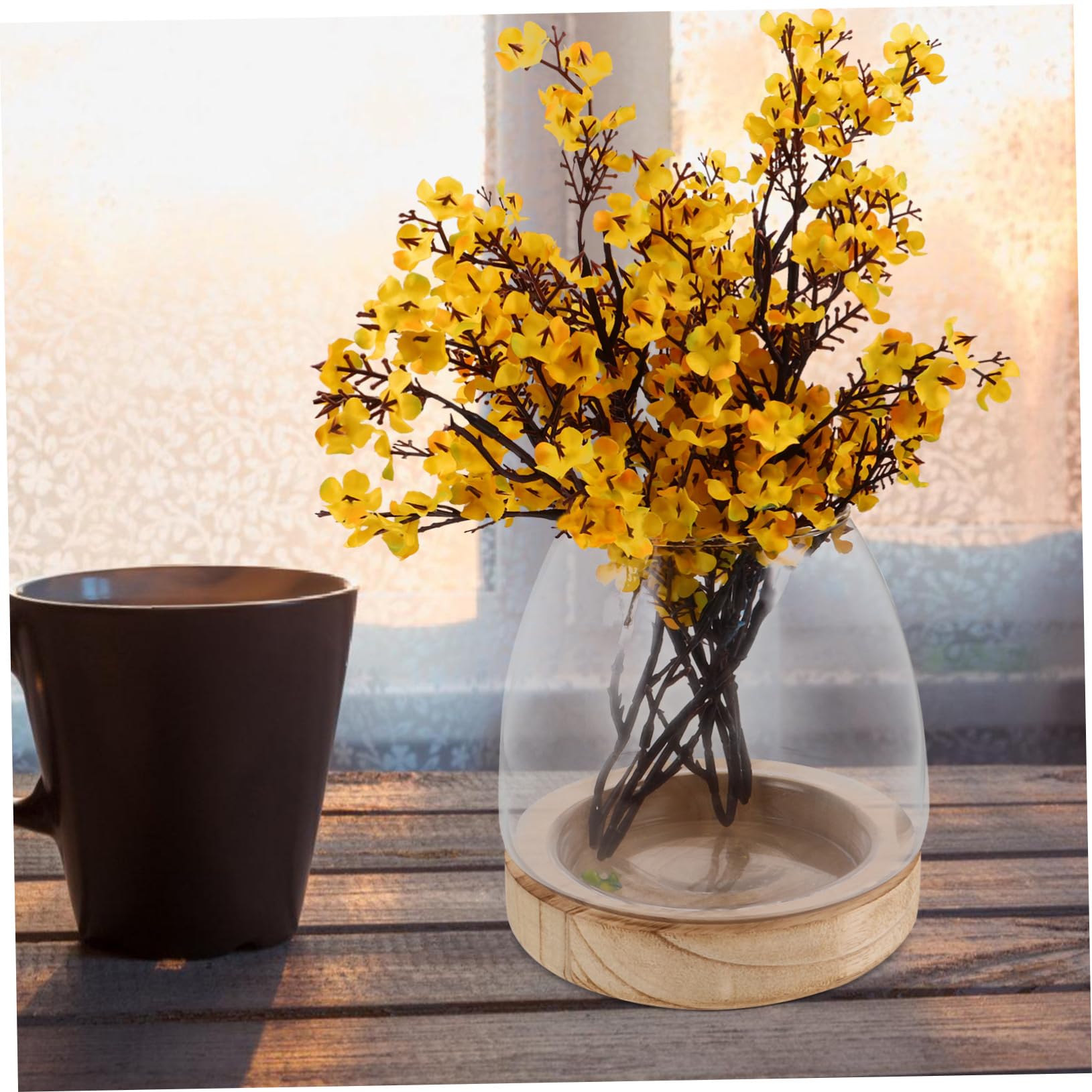 Vase Hydroponique Verre Transparent avec Base Propagateur de Petites Plantes pour Bureau et Maison Terrarium à Large Ouverture pour Micro-Paysage Décoratif