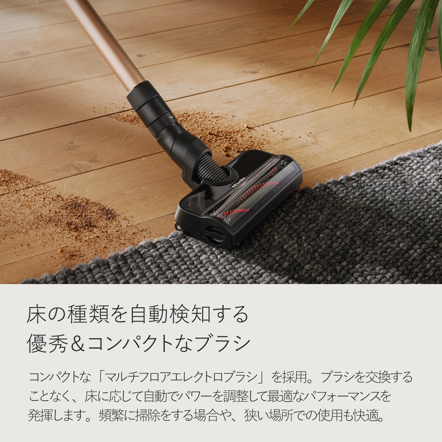 Amazon.co.jp: Miele: 掃除機本体