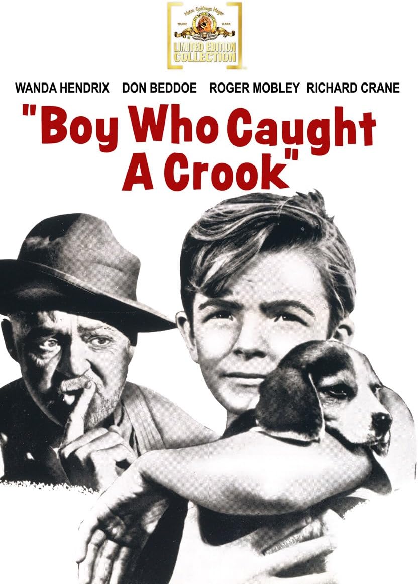 Boy Who Caught A Crook