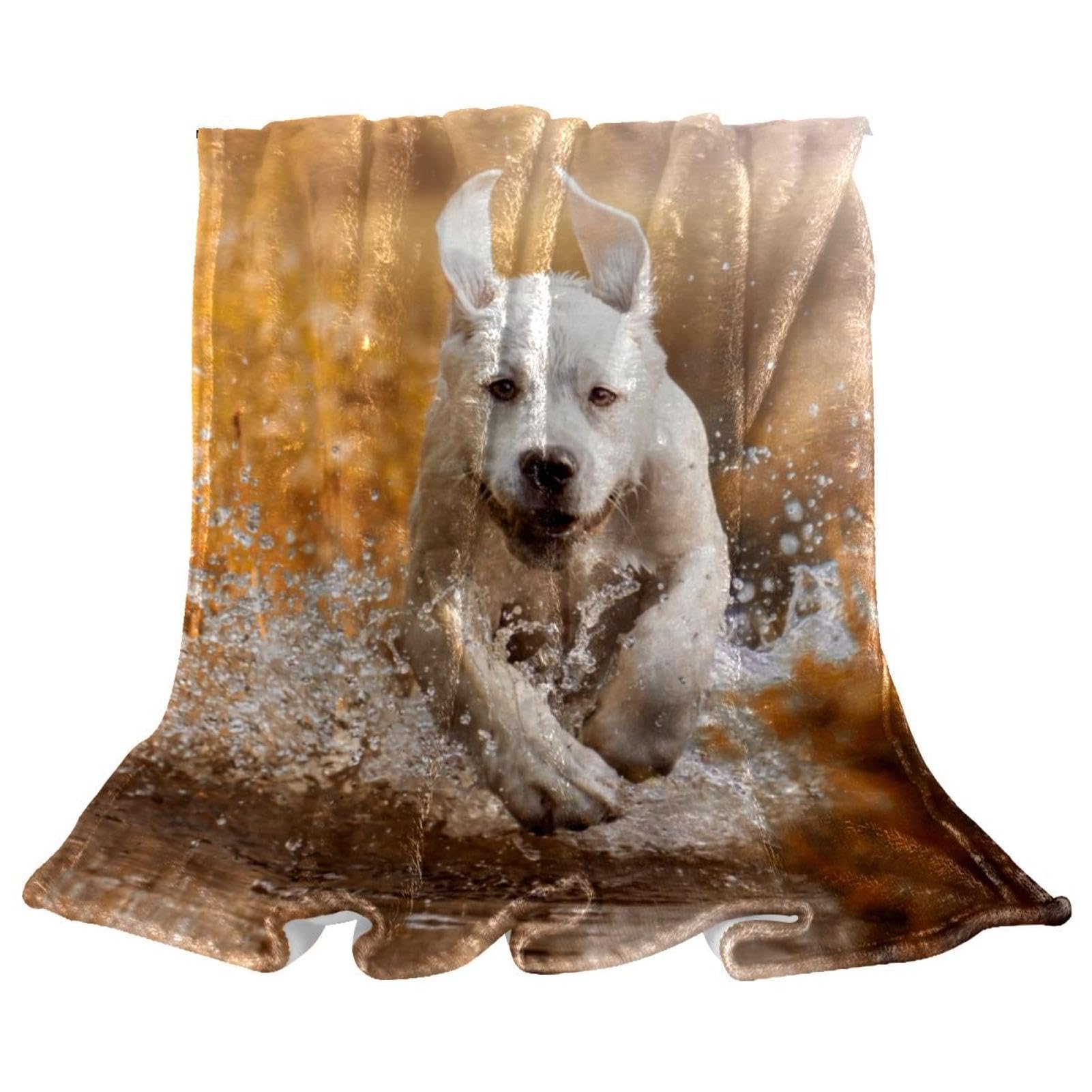 Couverture Polaire Chien Blanc Couverture Microfibre Chaude Et Douce Jeté De Canapé Couverture 150×200cm