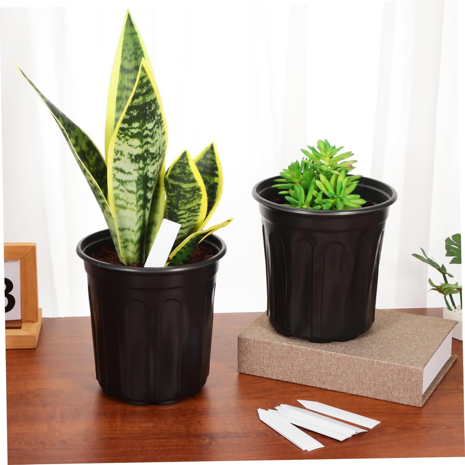 BESPORTBLE 50pcs Plastic Planter Pots Drainage Holes Versatile Flower Plant Containers for Home Decor and Garden Use Nursery Pots for Indoor and Outdoor Plants