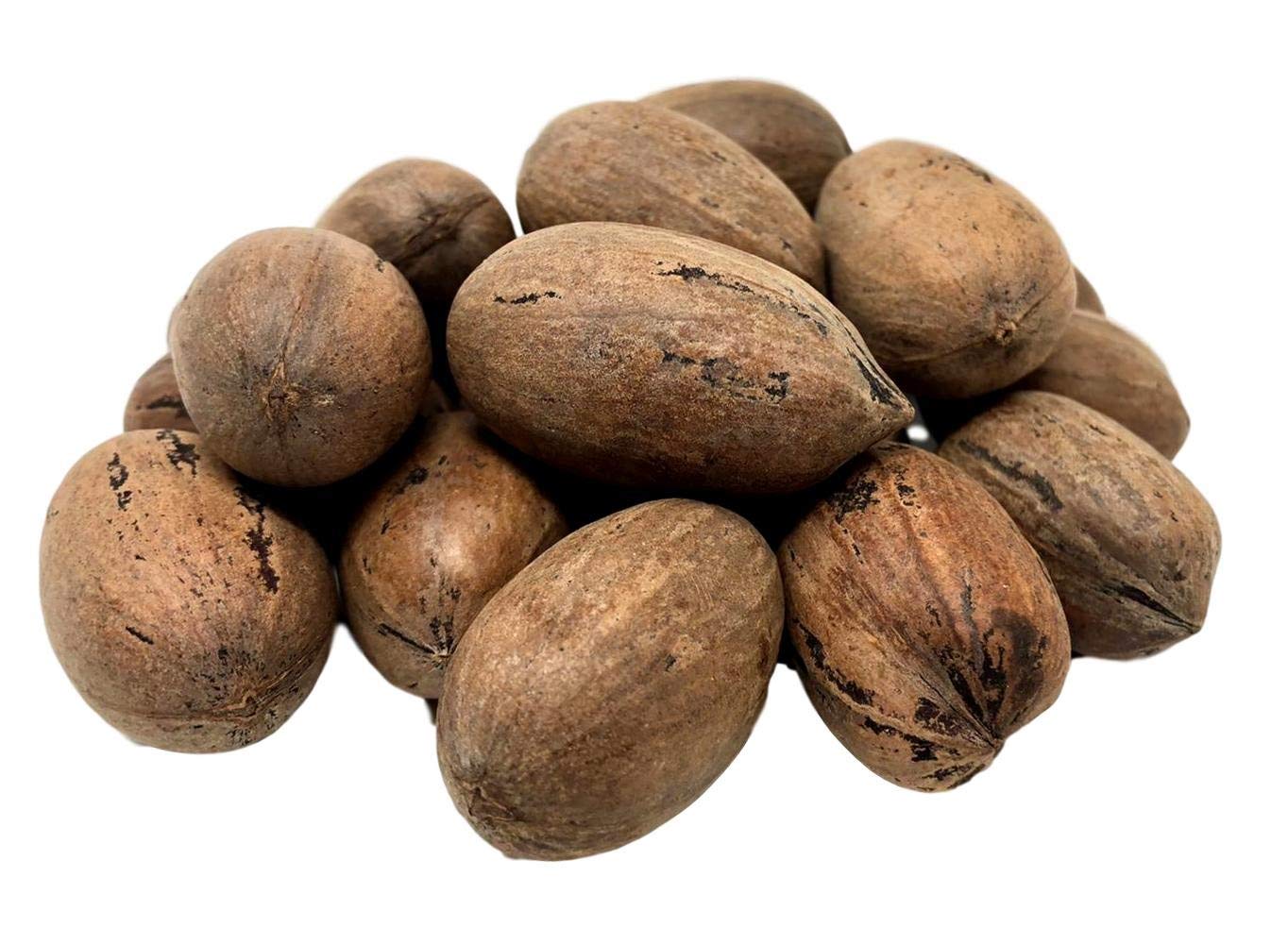 Buy NUTS U.S. Pecans In shell Whole, Raw and Unsalted No Added