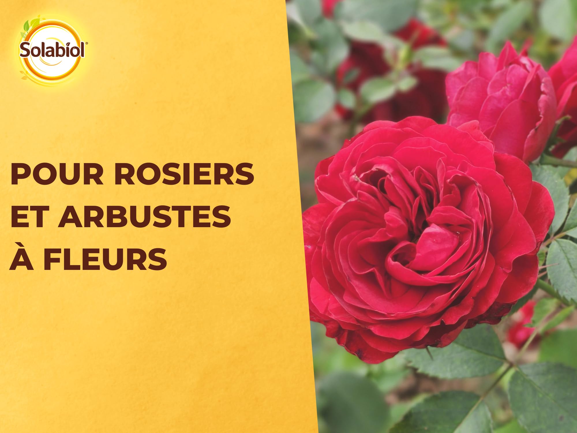SOLABIOL Engrais Rosiers Arbustes Fleurs Traitement Insectes Maladies Nutrition Longue Durée Protection
