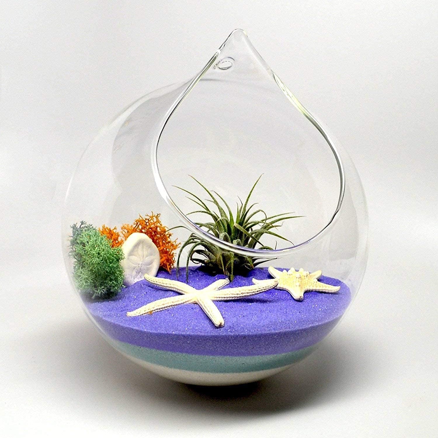 Ivolador Set of 2PCS 4.7 Inches Hanging Plants Glass Terrarium Container Air Plant Holder Succulents Globe Shape Home Garden Décor : Patio, Lawn & Garden